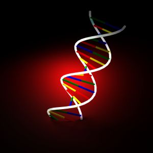 O genoma do modelo de descobrir novas funções de proteínas