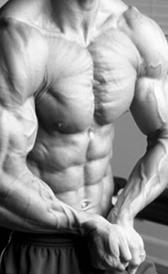 Proteína e massa muscular